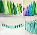 Zorpia® 15pcs Tissue Paper Tassels Garland, Mixed 3 Colors(Pink+ light pink+ rose)