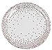 Juvale 48-Pack Rose Gold Paper Plates, Party Supplies for Appetizer, Lunch, Dinner, and Dessert, 9 Inches in Diameter