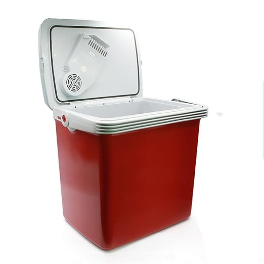 Ruirui 25L Gran Capacidad portátil Coche Nevera congelador Mini ...