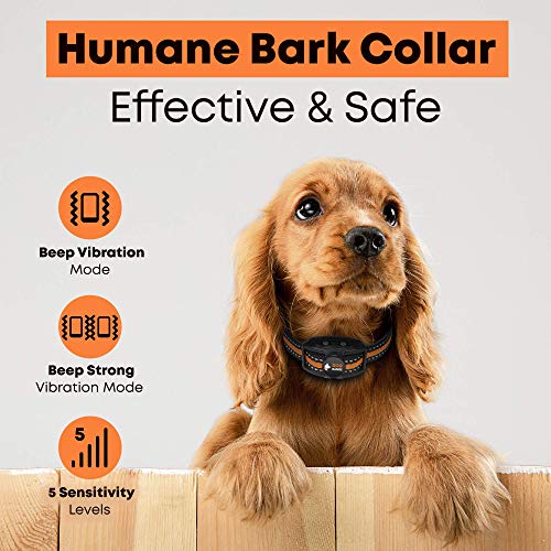 DoGRange Rechargeable Dog Bark Collar with Dual Motor Function - Humane No Shock Training - Vibration & Beeps Active Modes - All Breeds Barking - Adjustable for Small, Medium, Large Dogs - No Remote