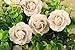 Junxia Natural 20 Pieces Mini Ivory Burlap Flowers for Wedding Party Decoration