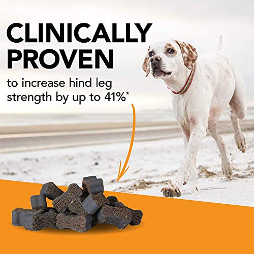 Vetri-Science Laboratories Glyco-Flex Iii Bite-Sized Chews - 120 Count - Thumbnail 4