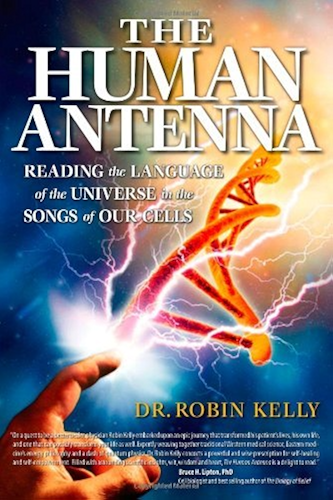 Download The Human Antenna: Reading the Language of the Universe in the Songs of Our Cells (English Edition) PDF
