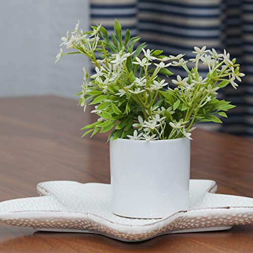 botle Keramik Blumenübertopf Blumentopf Pflanzkübel Glanz zylinderförmigen Blumentöpfe (16 x 15 cm, Weiß) – Bild 6