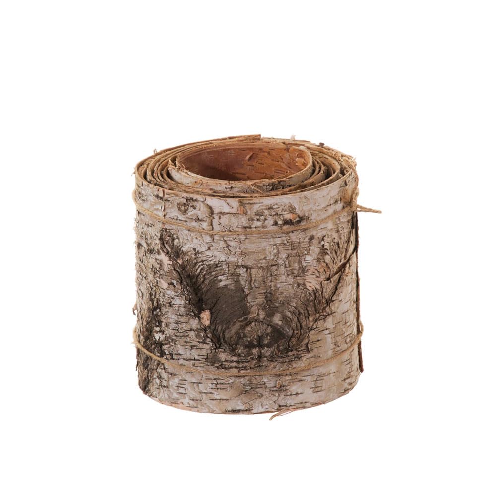 FloristryWarehouse Birch Tree Bark Roll 300cm Long x 15cm Wide