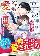 辛辣御曹司は偽装結婚で容赦なく愛し囲う ～恋なんて忘れていたのに独占激愛されて～