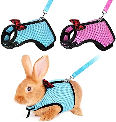 bunny collars