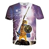 Rxbc2011 Men's Clothing 3D Printed Epic Cat Warrior T Shirt