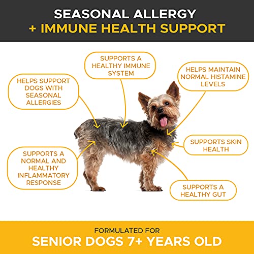 Pet Honesty Senior Dog Allergy Relief Immunity Chews Omega3 Salmon