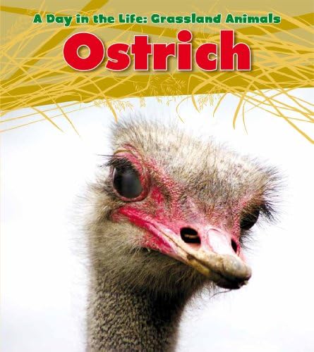 Ostrich (A Day in the Life: Grassland Animals)