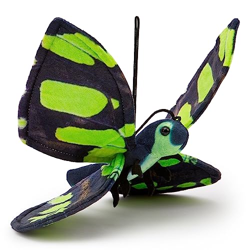 Malachite Butterfly