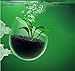 Tfwadmx Plant Pot Aquarium Decor Aquatic Plant Cup with 2 Suction Cup for Fish Tank Aquarium Aquascape(2 Pack)thumb 3