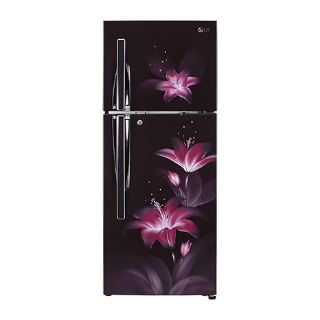 LG 284 L 2 Star Inverter Linear Frost-Free Double-Door Refrigerator (GL-T302RPGU, Purple Glow, Convertible)