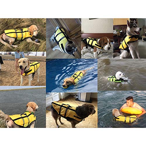 PinShang Pet Dog Breathable Reflective Safety Vest for Surfing Swimming Green L