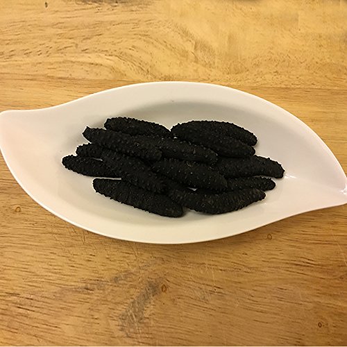 16oz-Dried Wild Sea Cucumber,岩刺参,Holothuria Mammata, Grade AAAA (mix size) 1LB - Thumbnail 5