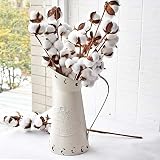 HyFanStr Rustic Style Metal Pitcher Decorative Flower Vase Primitive Jug Cream