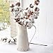 HyFanStr Rustic Style Metal Pitcher Decorative Flower Vase Primitive Jug Cream