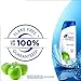 Head and Shoulders Green Apple Daily-Use Anti-Dandruff Shampoo, 13.5 fl oz