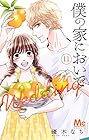 僕の家においで Wedding 第11巻