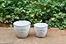 Napco Ceramic White Flowers and Garden Cache Pot, 6