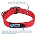 Max and Neo MAX Reflective Metal Buckle Dog Collar - We Donate a Collar to a Dog Rescue for Every Collar Sold (Small, RED)