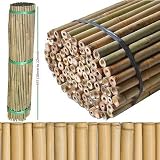 FlickBuyz 4FT Bamboo Plant Support Canes 30 Pack, 8-10MM Thick view 2