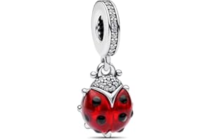 ChenYuTe 925 Sterling Silver Bracelet charm, Ladies' DIY Jewellery Charms, Compatible with European Bracelets and Necklaces