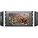 Blackmagic SmartView 4K | 12G-SDI 2160p60 Ultra HD Rack Mount Broadcast Monitor