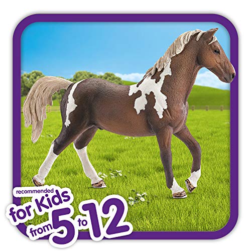 Aazon.co: Schleich Horse Club Realistic Oldenburger Foal Baby Horse