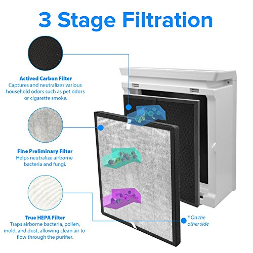 1 Purifier+LV+PUR131+Replacement+Activated+LV+PUR131+RF