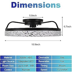 viniv 19'' Low Profile Ceiling Fan with Lights