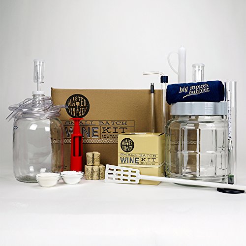 Master Vintner 1 Gallon Wine Making Equipment Starter Kit With Recipe (Merlot)