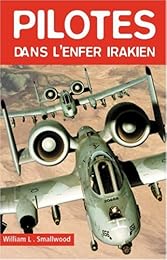 Pilotes dans l'enfer irakien