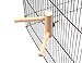 Small Parrot Perch Stand Wood Bird Stands Pet Parakeet Budgie Playstand Grinding Birdcage Cage Accessoriesthumb 1