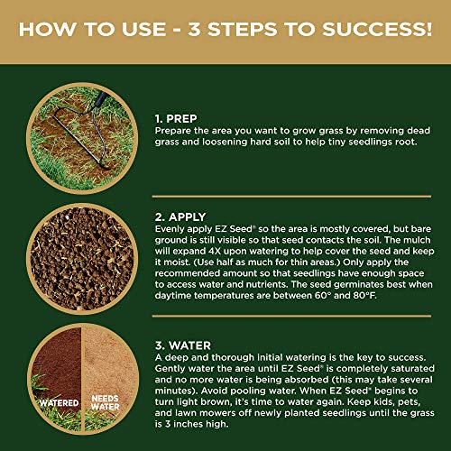 Scotts EZ Seed Patch and Repair Centipede Grass, 20 lb. Combination