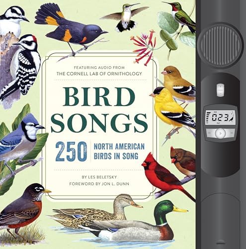 Amazon.com: Songs of the Birds: 9781838914929: Libros