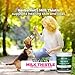 Herbal Vet Certified Organic Milk Thistle Powder for Cats and Dogs - Easy to Mix with Wet or Dry Food- Promotes Healthy Liver Function and Detox for Pets (6 OZ for Small and Medium Dogs)