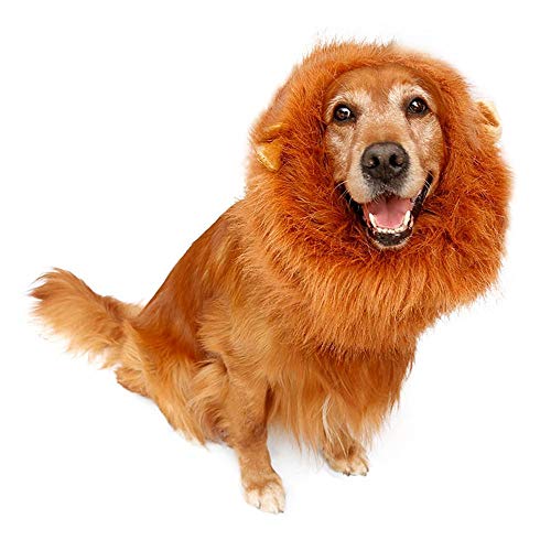 Halloween Cstume - Albabara Dog Lion Mane Realistic &