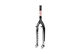 Odyssey F25 Forks