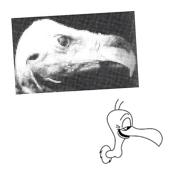 And They Flew Overhead By Crooked Finger On Amazon Music Amazon Com