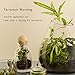 Growneer 10