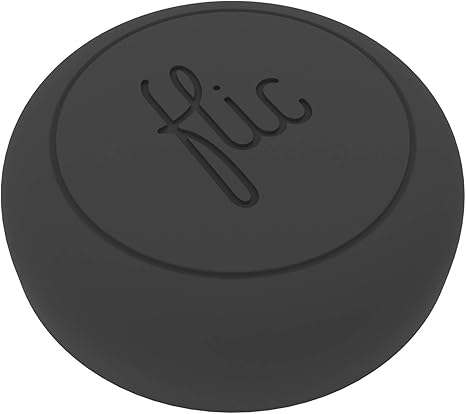 flic google assistant