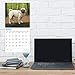 2020 Pugs Wall Calendar by Bright Day, 16 Month 12 x 12 Inch, Cute Dogs Puppy Animals Adorable Canine