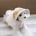 ROSENICE Small Pet Dog Cat Hat Sun Visor Sport Baseball Cap with Ear Holes