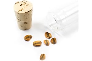 50 Giant Sequoia Seeds, Giant Redwood, Wellingtonia Seeds - 50 Seeds (Sequoiadendron giganteum) - Pack of 50 Rare and Viable Seeds - QO Seeds