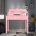 Home Office Furniture Writing Desk,Computer Work Station with Detachable Hutch,5 Drawers(Pink)