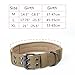 EXCELLENT ELITE SPANKER Nylon Tactical Dog Collar Military Adjustable Training Dog Collar with Double Metal D Ring Buckle(Grey-M)