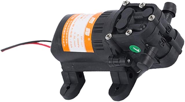 Homedectime Pompe à Eau à Membrane Mini Et Portable