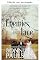 Livro Inimigos e renda (Série de romances Renda Solitária de Clearwater County Livro 1)