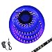 UV Led Strip Light Blacklight Christmas Decor Ultraviolet Light Waterproof Night Fishing Light with 2A Power Supply DC12V, 16.4FT 3528SMD 300LED